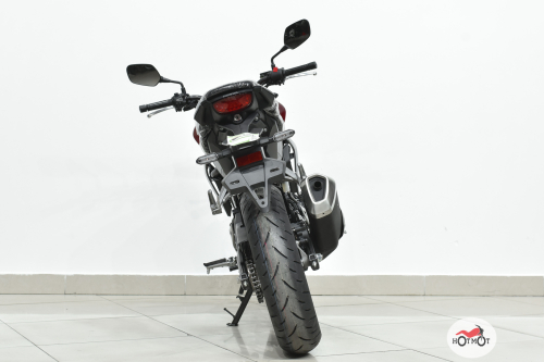 Мотоцикл HONDA CB 300R 2023, Красный фото 6