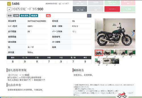 Мотоцикл TRIUMPH Speed Twin 2023, Зеленый фото 11