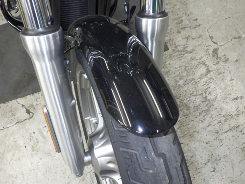 Мотоцикл HARLEY-DAVIDSON Softail Standard 2023, Черный фото 10