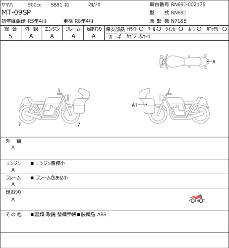 Мотоцикл YAMAHA MT-09 (FZ-09) 2023, СЕРЫЙ фото 6