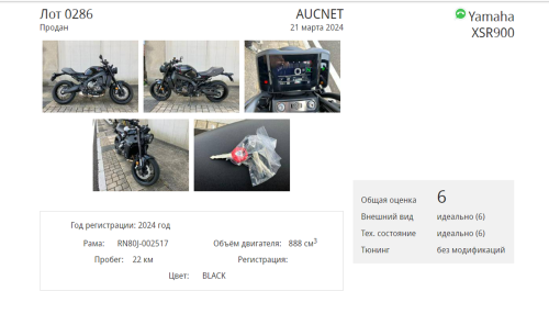 Мотоцикл YAMAHA XSR900 2024, Черный фото 6