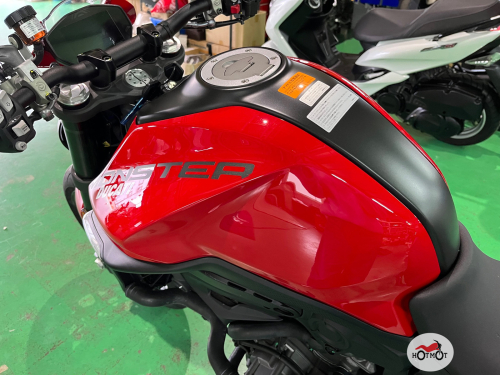 Мотоцикл DUCATI Monster (2021-н.в.) 2023, Красный фото 7