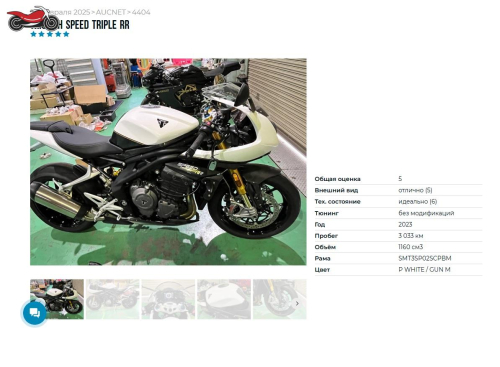 Мотоцикл Triumph Speed Triple 2023, БЕЛЫЙ фото 9