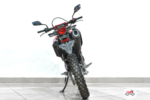 Мотоцикл HONDA CRF300L 2022, белый, красный фото 6