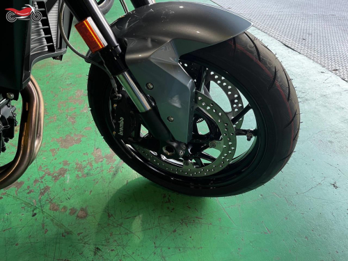 Мотоцикл BMW F 900 R 2023, СЕРЕБРИСТЫЙ фото 4