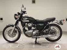 Мотоцикл KAWASAKI W 800 2020, Зеленый