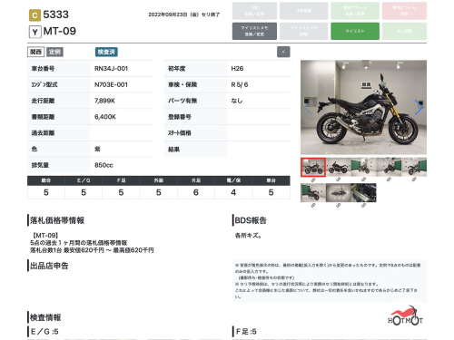Мотоцикл YAMAHA MT-09 (FZ-09) 2015, Черный фото 13