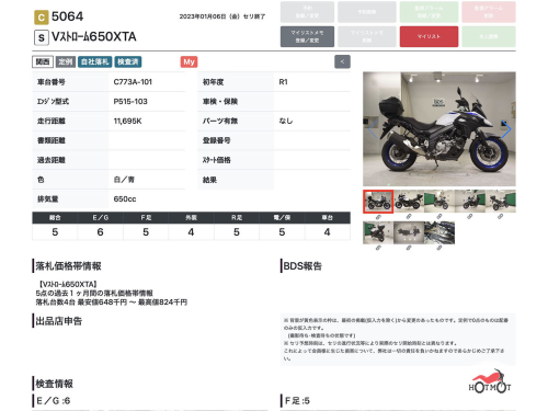 Мотоцикл SUZUKI V-Strom DL 650 2019, БЕЛЫЙ фото 13