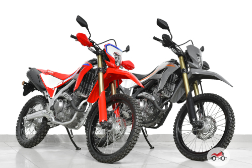 Мотоцикл HONDA CRF300L 2024, белый, серый фото 11