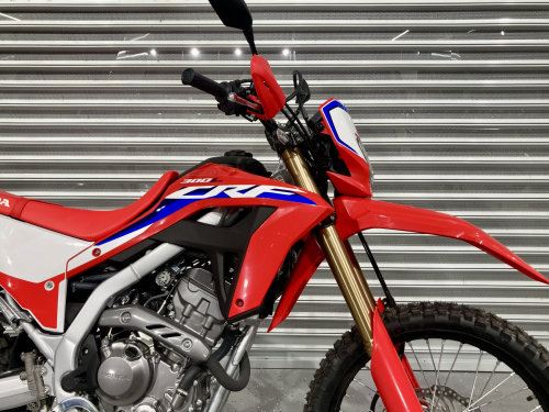 Мотоцикл HONDA CRF 300L 2024, КРАСНЫЙ фото 9