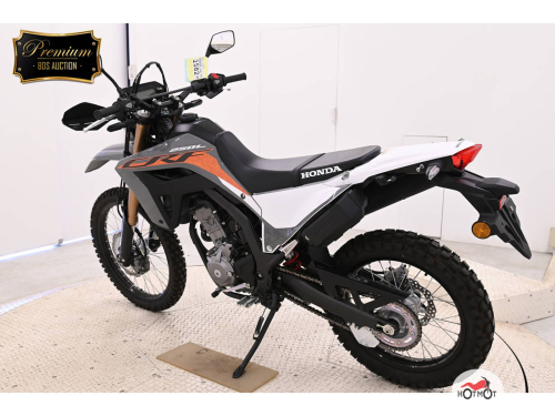 Мотоцикл HONDA CRF 250L 2023, серый фото 6