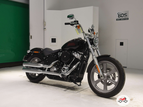 Мотоцикл HARLEY-DAVIDSON Softail Standard 2023, Черный фото 3