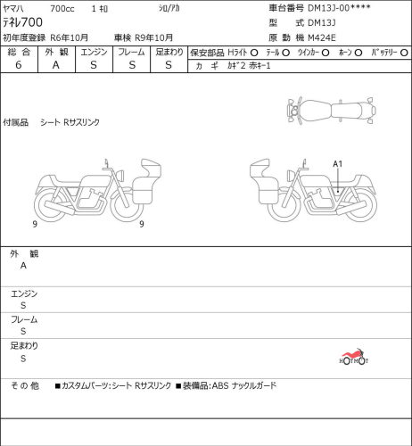 Мотоцикл YAMAHA TENERE 700 2024, белый фото 6