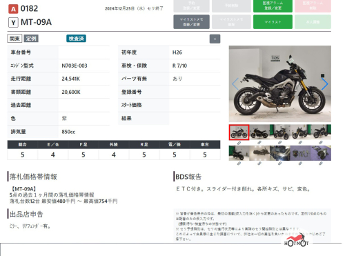 Мотоцикл YAMAHA MT-09 (FZ-09) 2014, ФИОЛЕТОВЫЙ фото 11