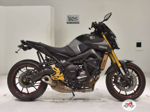 Мотоцикл YAMAHA MT-09 (FZ-09) 2016, серый фото 2