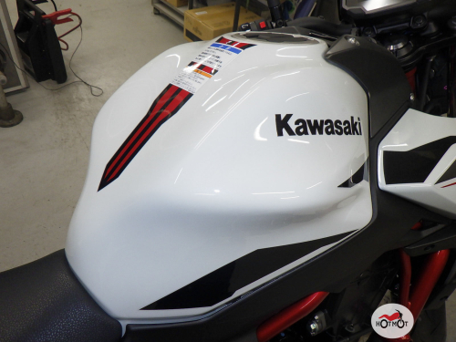 Мотоцикл KAWASAKI Z 650 2022, БЕЛЫЙ фото 9