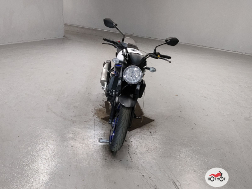 Мотоцикл SUZUKI SV 650  2019, БЕЛЫЙ фото 3
