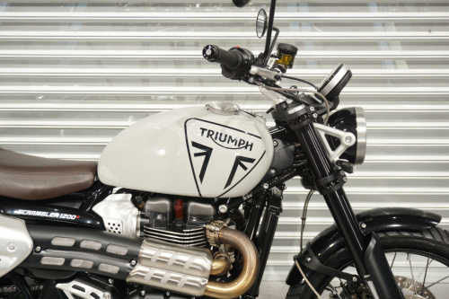 Мотоцикл Triumph Scrambler 2024, СЕРЫЙ фото 10