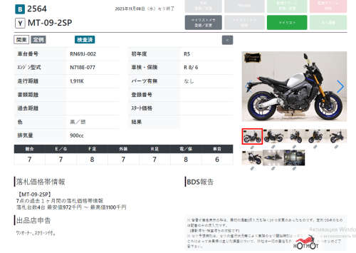 Мотоцикл YAMAHA MT-09 (FZ-09) 2023, СЕРЫЙ фото 16