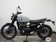 Мотоцикл TRIUMPH Scrambler 2024, СЕРЫЙ