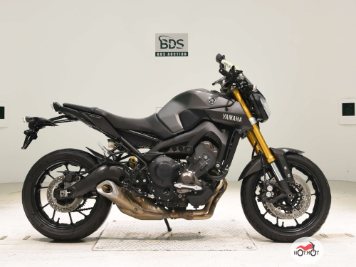 Мотоцикл YAMAHA MT-09 (FZ-09) 2014, серый фото 2