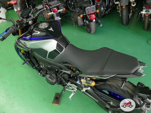 Мотоцикл YAMAHA MT-09 (FZ-09) 2020, СЕРЫЙ фото 10