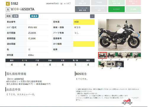 Мотоцикл SUZUKI V-Strom DL 650 2018, белый фото 11