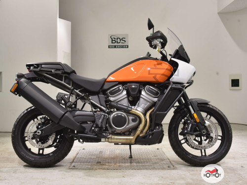 Мотоцикл HARLEY-DAVIDSON Pan America Special 2021, Оранжевый фото 2
