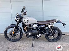 Мотоцикл TRIUMPH Scrambler 2024, серый