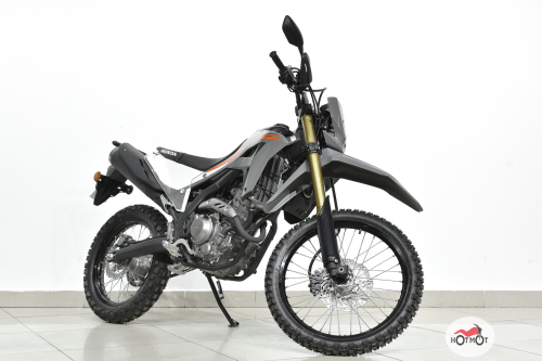 Мотоцикл HONDA CRF300L 2024, белый, серый