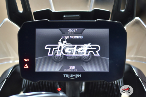 Мотоцикл TRIUMPH Tiger 900 2020, БЕЛЫЙ фото 9