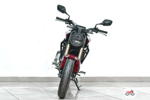 Мотоцикл HONDA CB 300R 2022, Красный фото 5