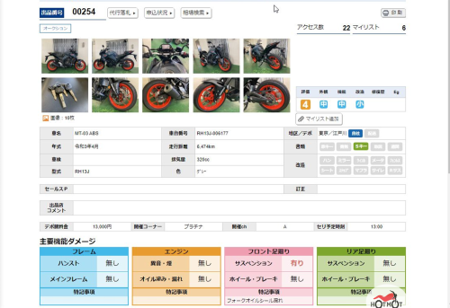 Мотоцикл YAMAHA MT-03 2021, СЕРЫЙ фото 11