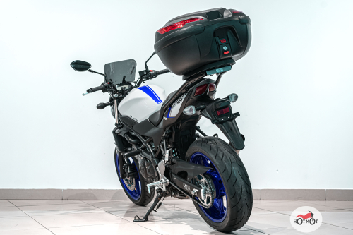 Мотоцикл SUZUKI SV 650  2019, БЕЛЫЙ фото 8