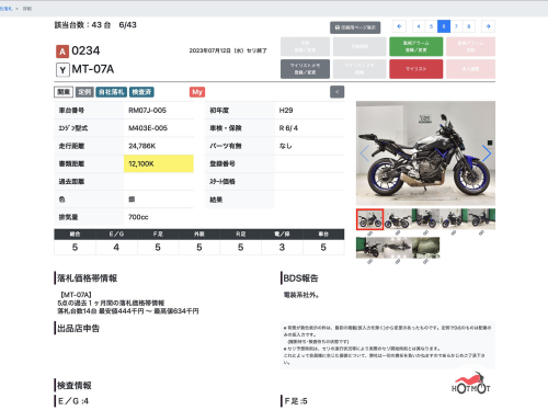Мотоцикл YAMAHA MT-07 (FZ-07) 2018, СЕРЫЙ фото 11