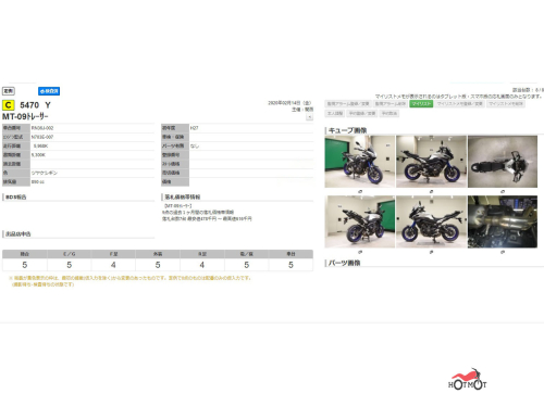 Мотоцикл YAMAHA MT-09 Tracer (FJ-09) 2015, Серебристый фото 13