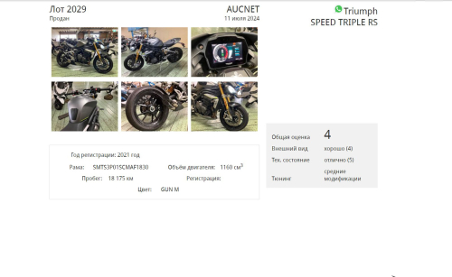 Мотоцикл TRIUMPH Speed Triple 2021, СЕРЫЙ фото 6