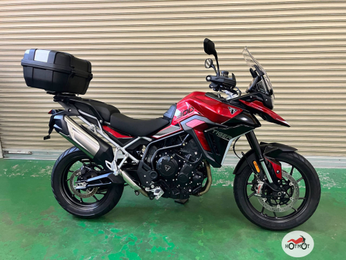 Мотоцикл TRIUMPH Tiger 900 2024, Красный фото 2