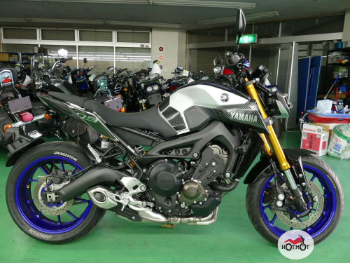 Мотоцикл YAMAHA MT-09 (FZ-09) 2020, СЕРЫЙ фото 2