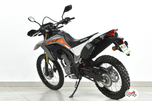 Мотоцикл HONDA CRF300L 2024, белый, серый фото 8