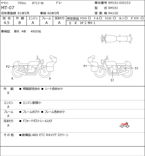 Мотоцикл YAMAHA MT-07 (FZ-07) 2019, СЕРЫЙ фото 6