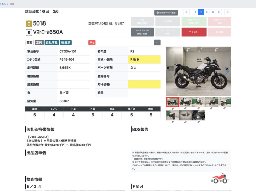 Мотоцикл SUZUKI V-Strom DL 650 2019, БЕЛЫЙ фото 11