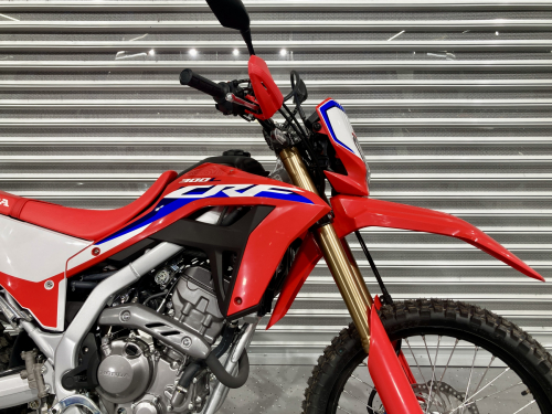 Мотоцикл HONDA CRF 300L 2024, КРАСНЫЙ фото 9