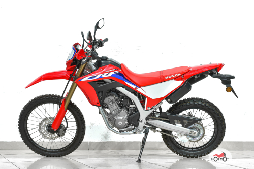 Мотоцикл HONDA CRF 300 L 2023, белый, красный фото 4