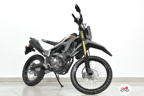 Мотоцикл HONDA CRF 300L 2024, серый
