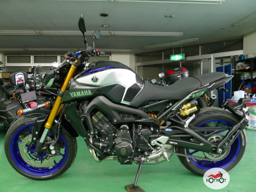 Мотоцикл YAMAHA MT-09 (FZ-09) 2020, СЕРЫЙ