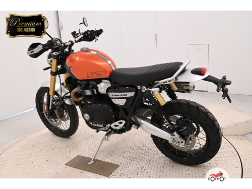 Мотоцикл TRIUMPH Scrambler 2024, Оранжевый фото 6