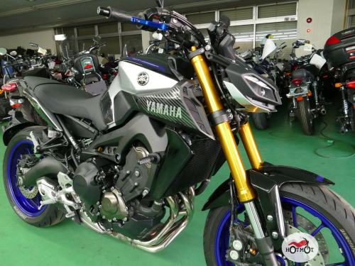 Мотоцикл YAMAHA MT-09 (FZ-09) 2020, СЕРЫЙ фото 3
