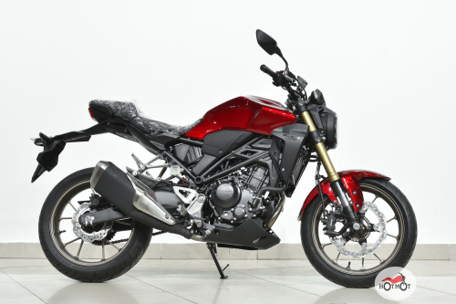Мотоцикл HONDA CB 300R 2023, Красный фото 3