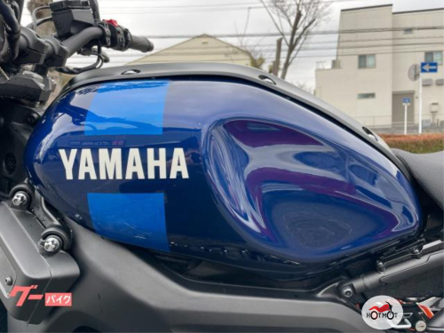 Мотоцикл YAMAHA XSR900 2019, Синий фото 10